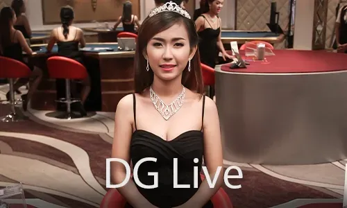Live Casino Partner